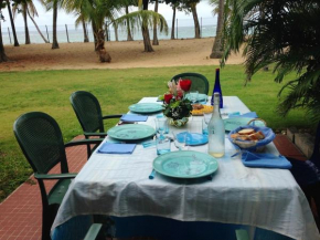 Appartement d'une chambre a Le Moule a 30 m de la plage avec vue sur la mer jardin clos et wifi